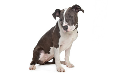 Similar image 1474261