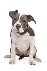 Similar image 1474263