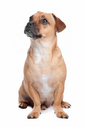 Similar image 1474266