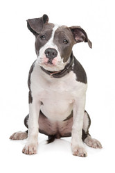 Similar image 1474268