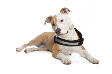 Similar image 1474269