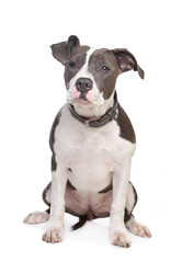 Similar image 1474271