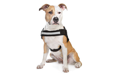 Similar image 1474279