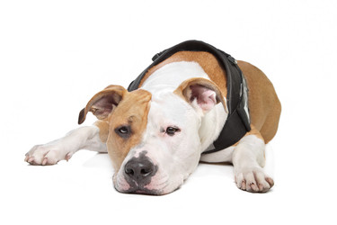 Similar image 1474281