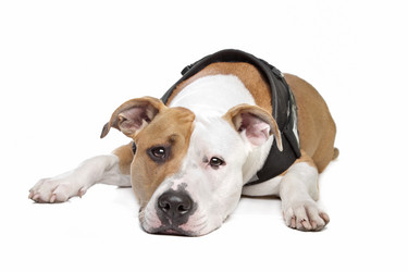 Similar image 1474282