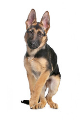 Similar image 1474285