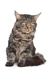 Similar image 1474297