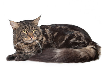 Similar image 1474298