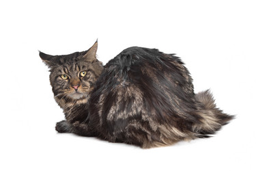 Similar image 1474299