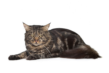 Similar image 1474301