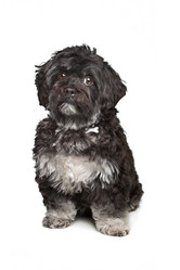 Similar image 1474304