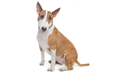 Similar image 1474306