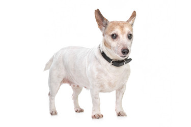 Similar image 1474308