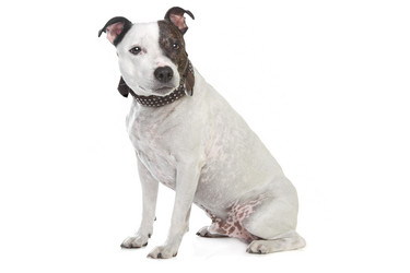 Similar image 1474309