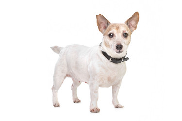 Similar image 1474310