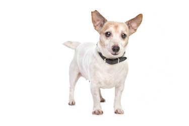 Similar image 1474312