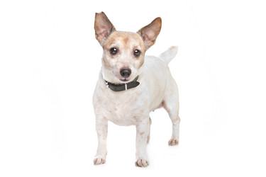 Similar image 1474314