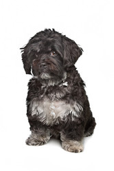 Similar image 1474315