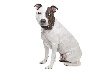 Similar image 1474326