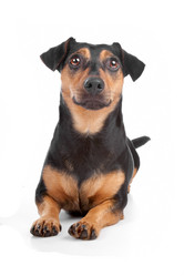 Similar image 1474329