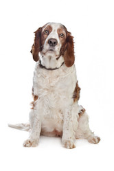 Similar image 1474332