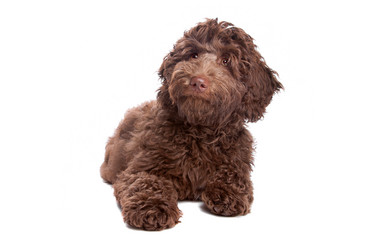 Similar image 1474334