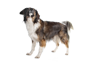 Similar image 1474335