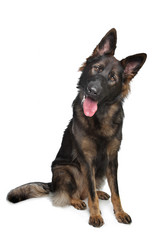 Similar image 1474338