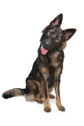 Similar image 1474339