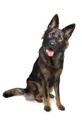 Similar image 1474347