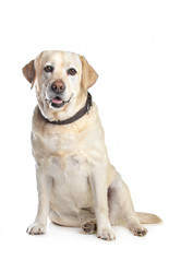 Similar image 1474364