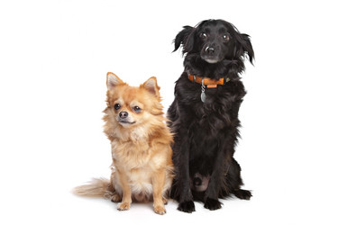 Similar image 1474365