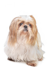 Similar image 1474378