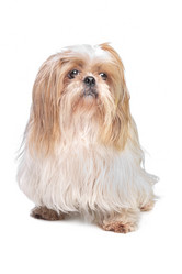 Similar image 1474379