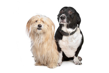 Similar image 1474381