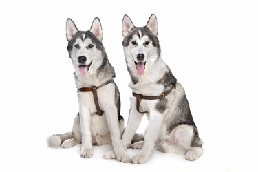 Similar image 1474391