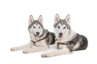 Similar image 1474392