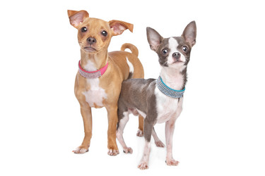 Similar image 1474453