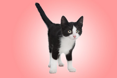 Similar image 1474494