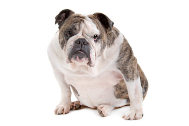 Similar image 1474652