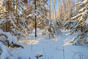 Similar image 1474660