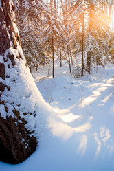 Similar image 1474677