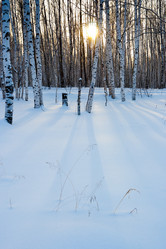 Similar image 1474689