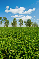 Similar image 1474708