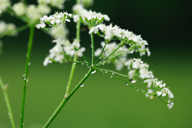 Similar image 1475330