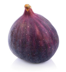 Similar image 1475781