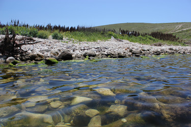 Similar image 1476076