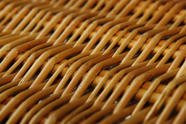 Similar image 1476085