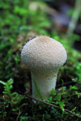 Similar image 1476272