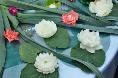 Similar image 1476281